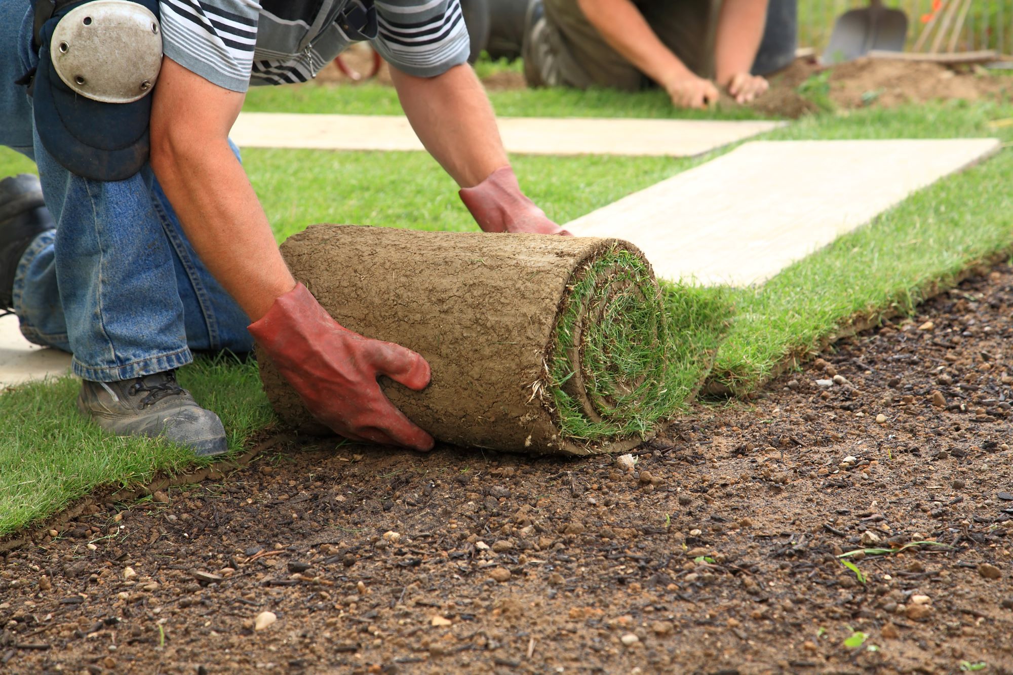 How Much Does Turfing Cost? | Landscapers Sevenoaks